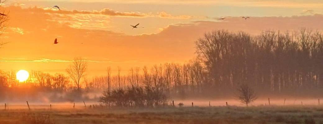 Visite "L'automne aux marais d’Harchies" 