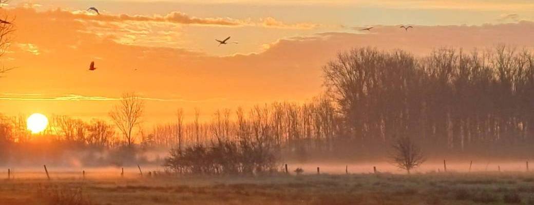 Visite "L'automne aux Marais d’Harchies" 