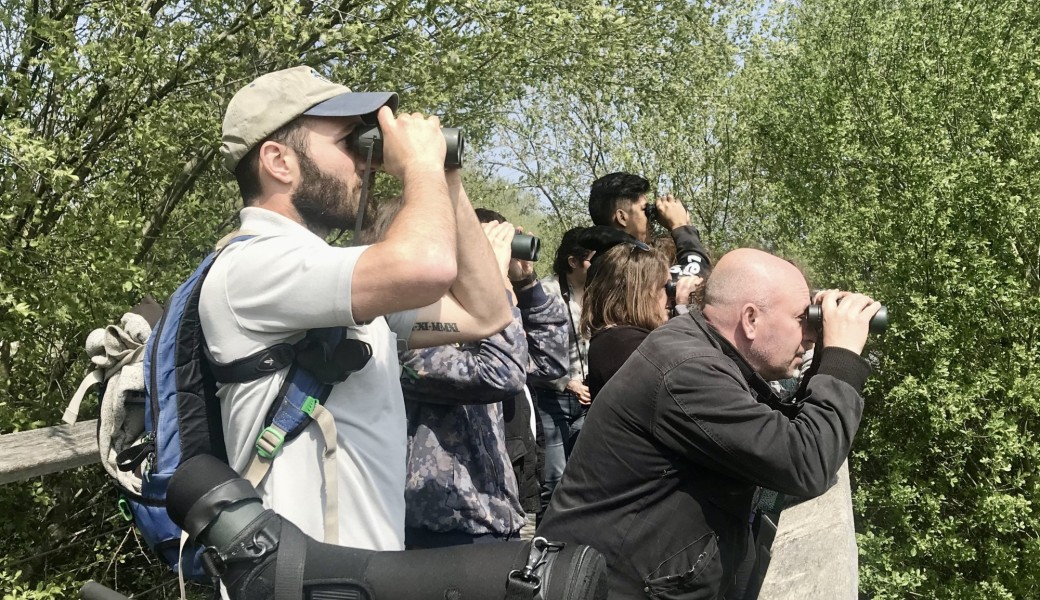 Visite découverte