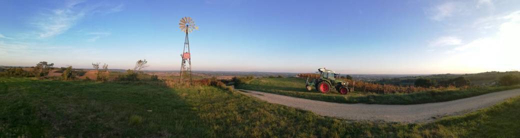Visite - dégustation In Ventis
