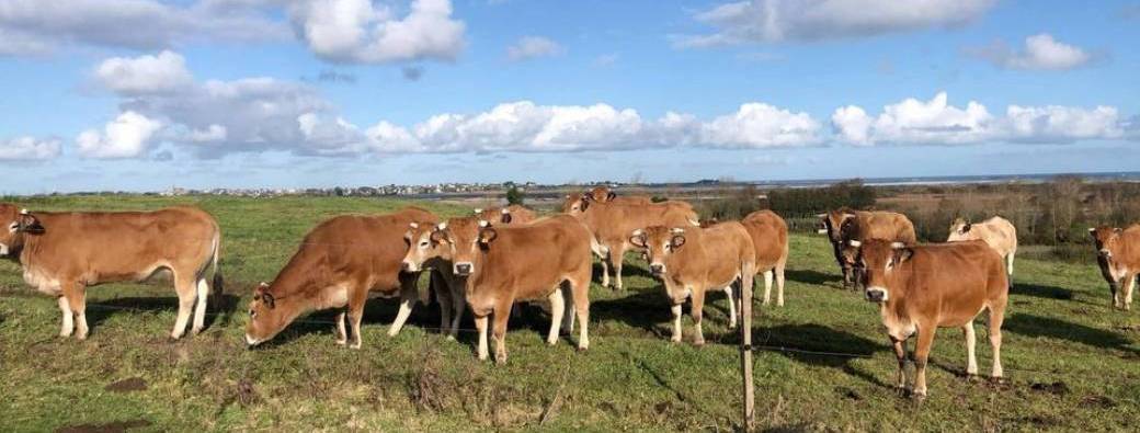 Visite d'entreprise : Ferme de la Baie de Goulven