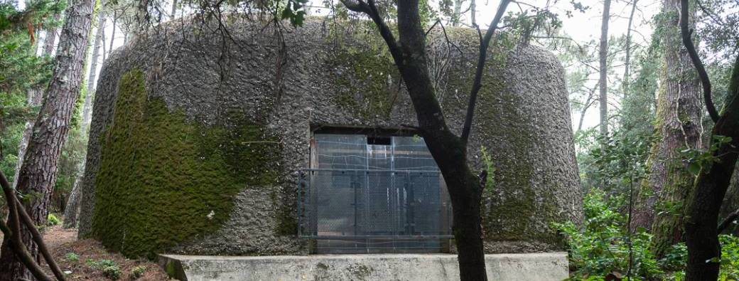 Visite des blockhaus du Pyla