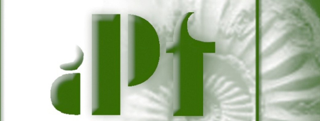 Visite des collections