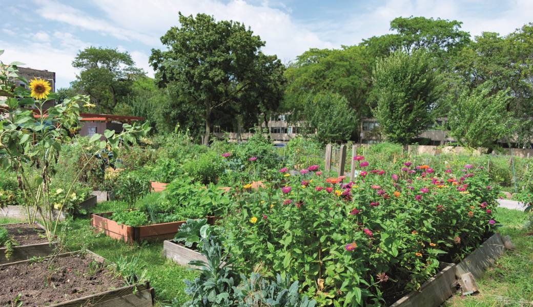 Visite des jardins partagés de Bazancourt