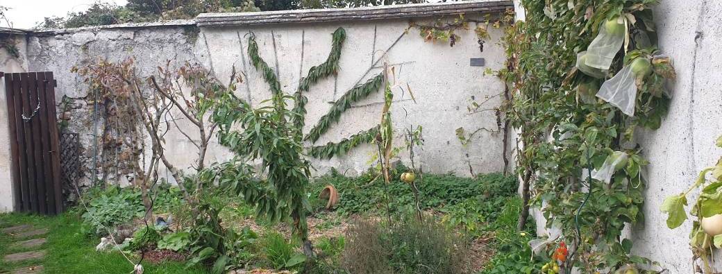 Visite des murs a peches