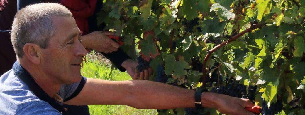 Visite du Domaine de la Grézille 
