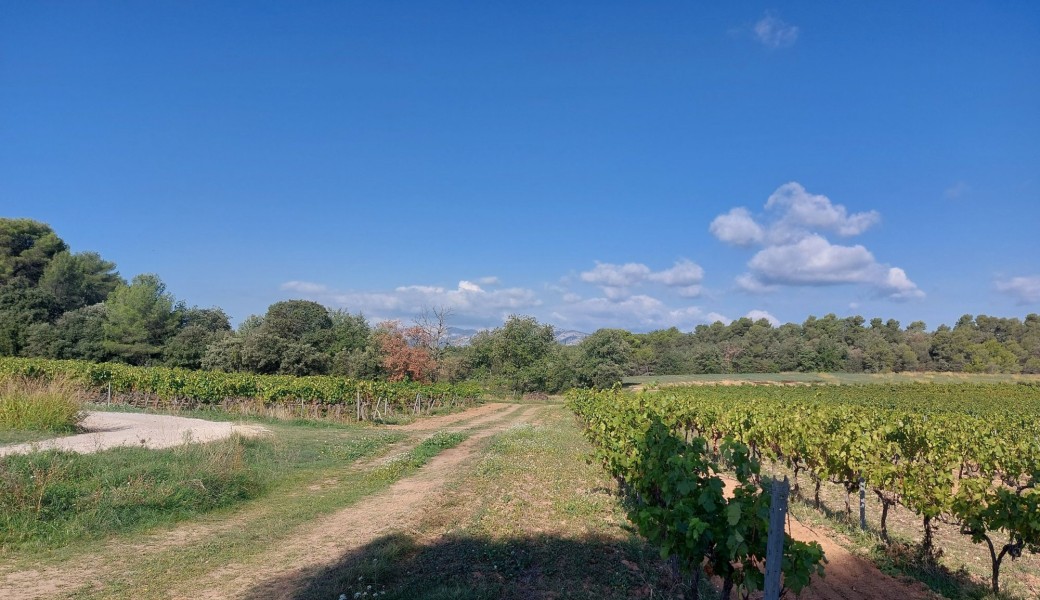 Escapade au domaine du Vallon Noir