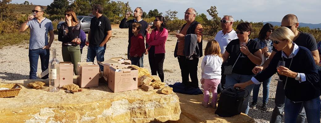 Visite du domaine Saint Pancrace