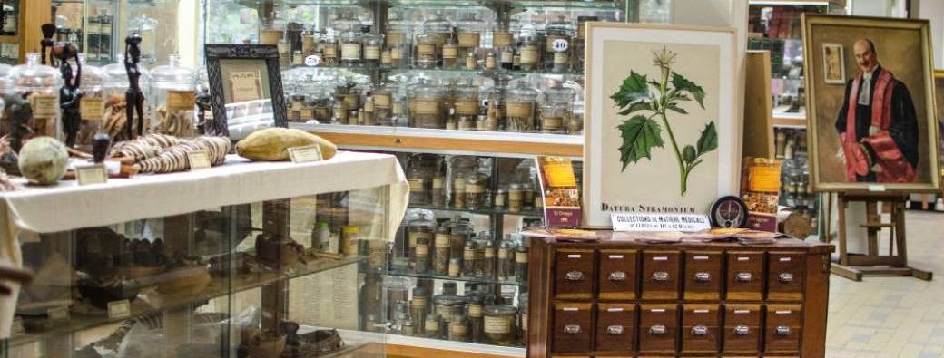 Visite du Droguier de la Faculté de Pharmacie - Journée Européennes du Patrimoine 2026