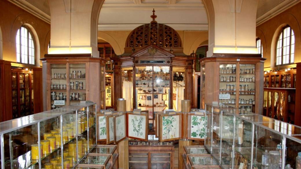 Visite du musée François Tillequin