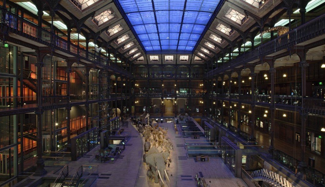Visite du Muséum national d'histoire naturelle