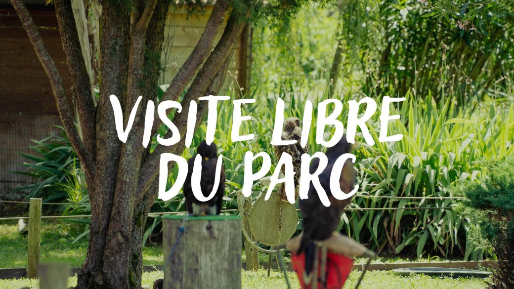 VISITE DU PARC