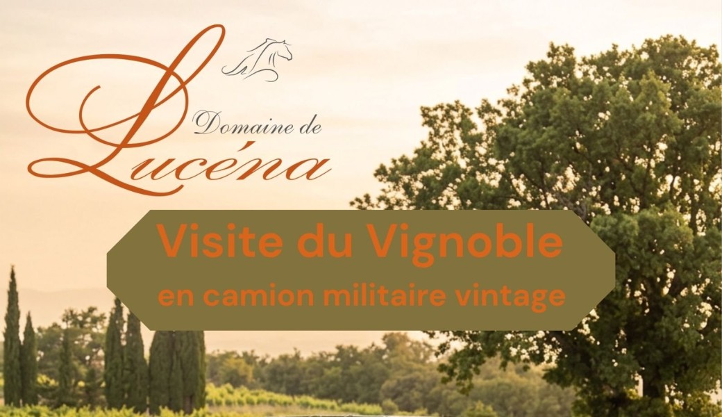 Visite du vignoble en camion vintage