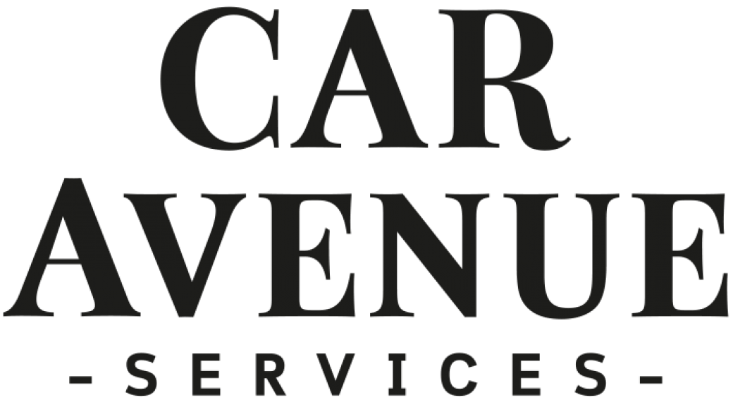 Visite entreprise CAR AVENUE SERVICES