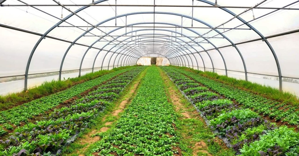 Visite et dégustation au Jardin de Cocagne