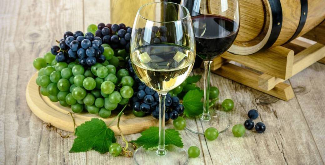 Visite et dégustation - Vins Benoit Lichtlé