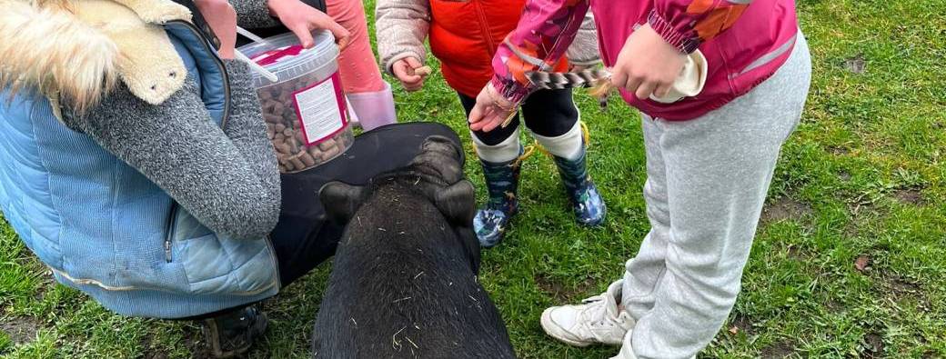 Visite - Ferme de Tiné