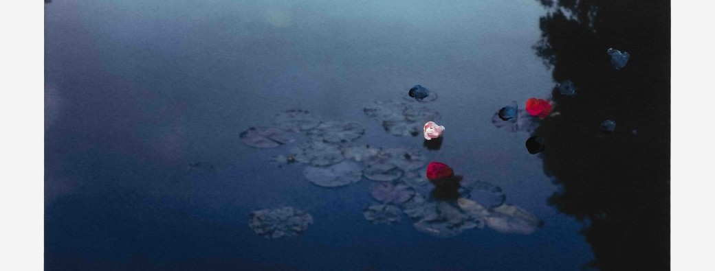 Visite gratuite du mercredi en anglais