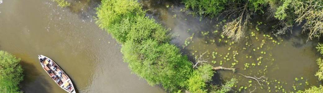 VISITE GUIDÉE | Balade en bateau (1h30) - Le Marais aux oiseaux