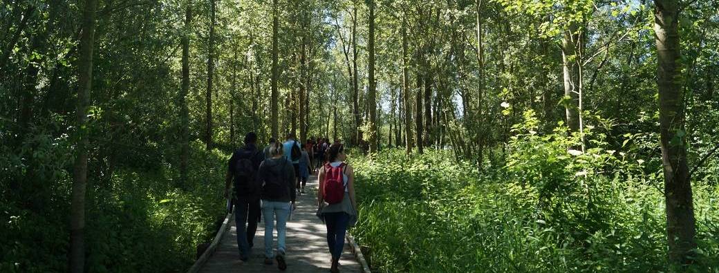 VISITE GUIDÉE |"Les Tom Sawyer des Ballastières"