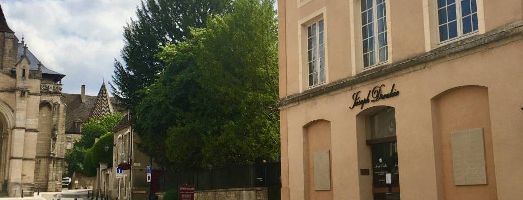 Visite guidée - Beaune, capital des vins