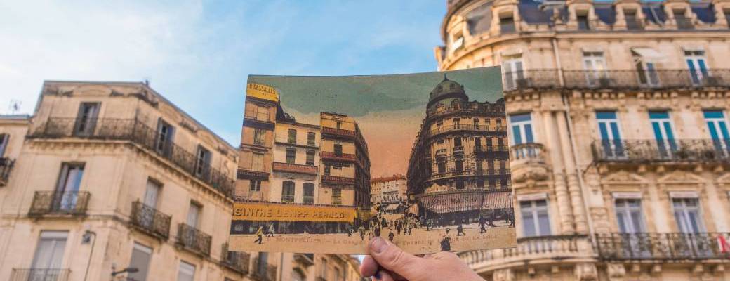 Visite guidée Cohésion dans l'écusson - Bureau des Congrès Montpellier 3M