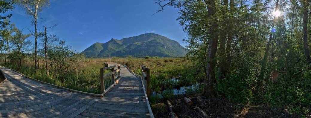 Visite guidée de la Réserve Naturelle