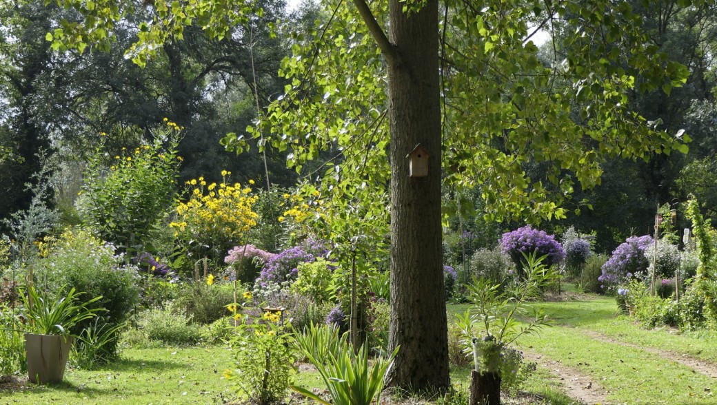 Visite guidée du jardin des oiseaux
