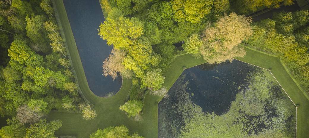 Visite guidée du Parc de Courances