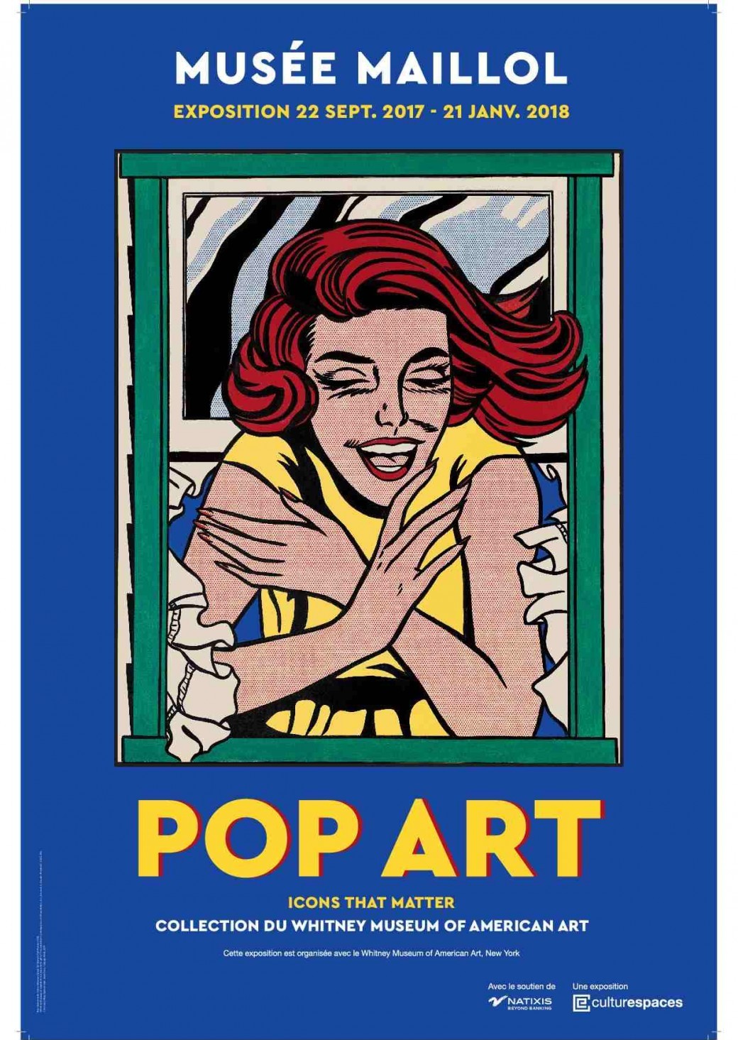 POP ART, ICONS THAT MATTER, LA COLLECTION DU WHITNEY MUSEUM NEW YORK visite guidée expo M. Lhéritier