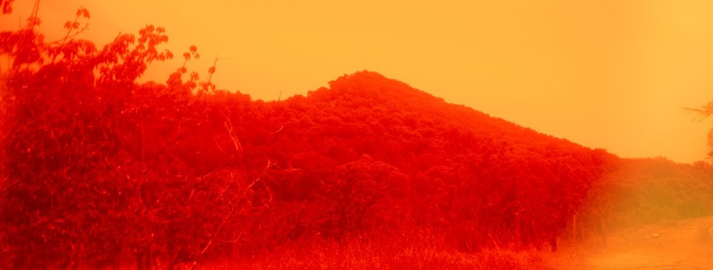 [Visite guidée] Exposition Alice Pallot au Diapason