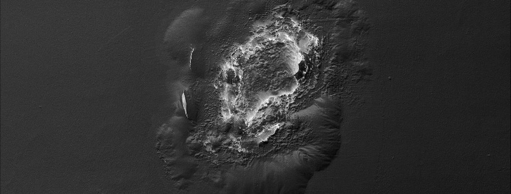 Visite Guidée Exposition Umwelt de Tadzio