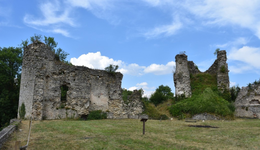 Visite guidée : Le château de Blâmont révélé par l'archéologie