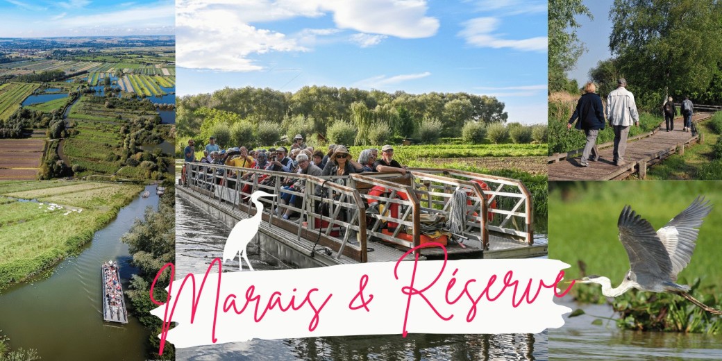 VISITE GUIDEE | Marais en bateau & Réserve Naturelle du Romelaëre à pied (+/-2h30)