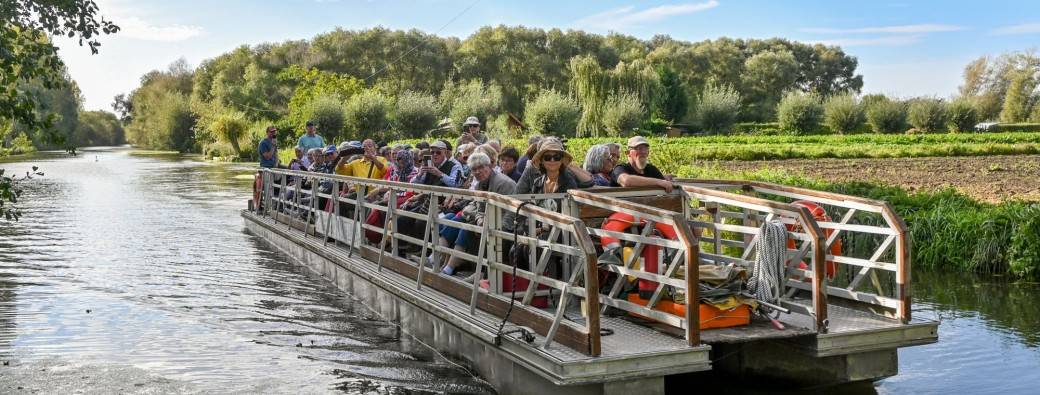 VISITE GUIDEE | Route du marais maraîcher en grand bateau (1h)