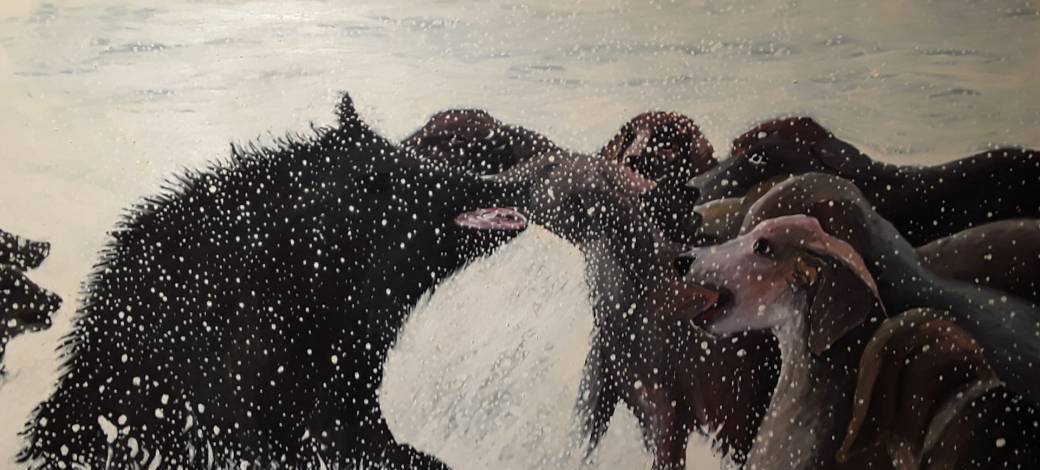 Visite guidée thématique Comme des bêtes