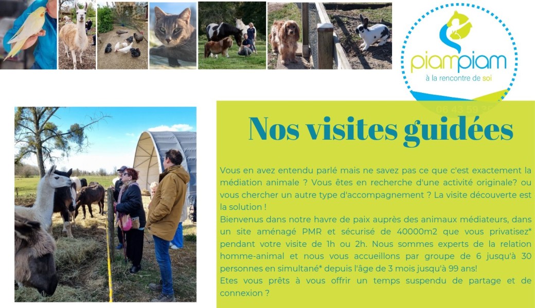 VISITE GUIDEE