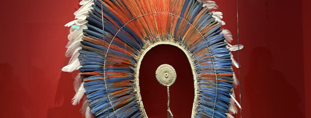 Visite Guidée Amazõnia Créations et futurs autochtones