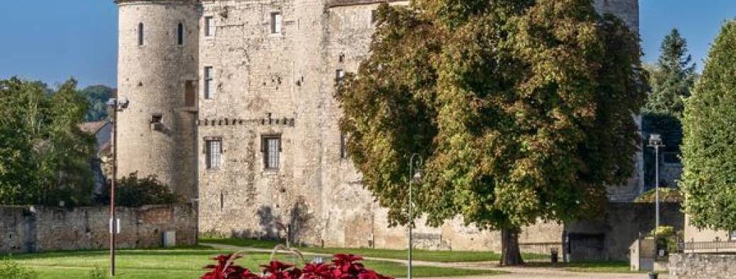 Visite historique de Nemours - semaine médievale