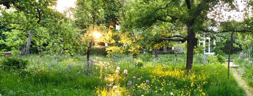 Découverte poétique avec Hervé Covès - Jardin nourricier - Terre & Conscience