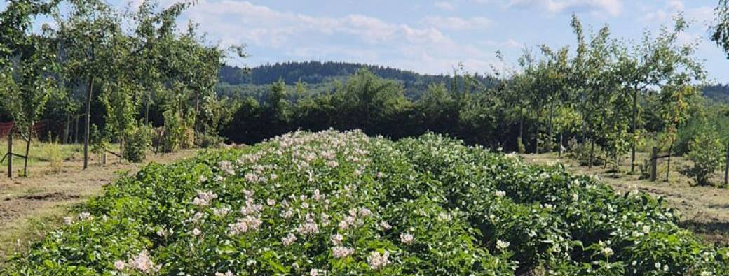 VISITE – Jardin-forêt – Au vert de Terre
