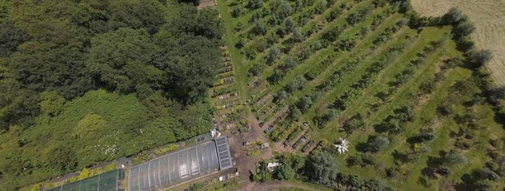 VISITE – Jardin-forêt – Bois de Rode Bos avec Hervé Covès
