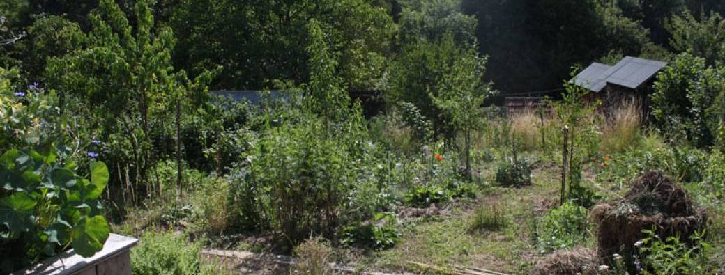 VISITE – Jardin-forêt d'Ovirage