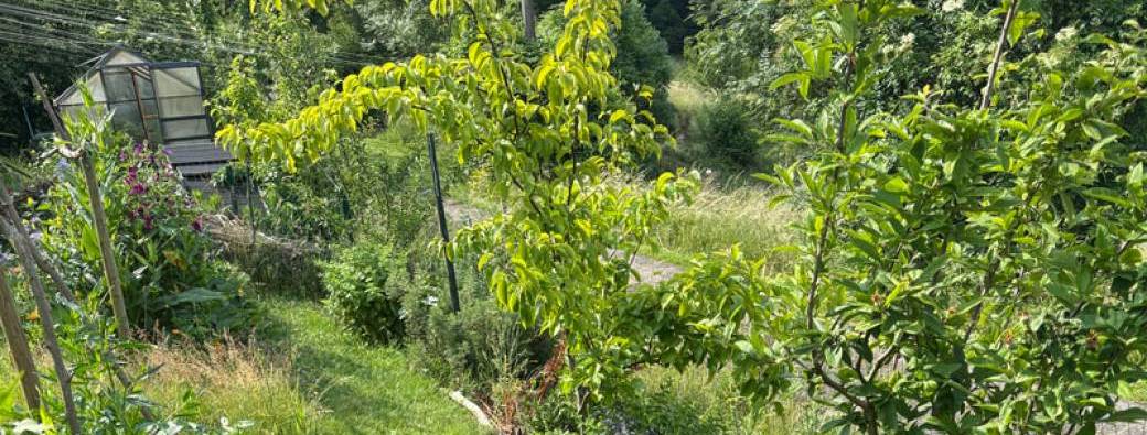 VISITE – Jardin-forêt - Jardin de la Pierre Blanche