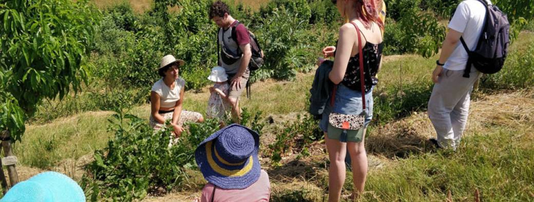 VISITE - Jardin-forêt - L’Arbre qui Pousse