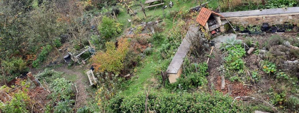 VISITE – Jardin-forêt – La Maîtresse du vert