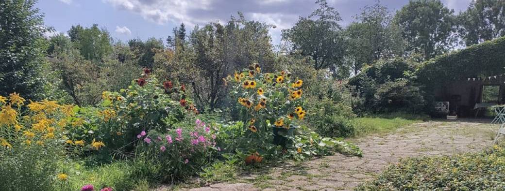 VISITE – Jardin-forêt – Le jardin de Bellevue