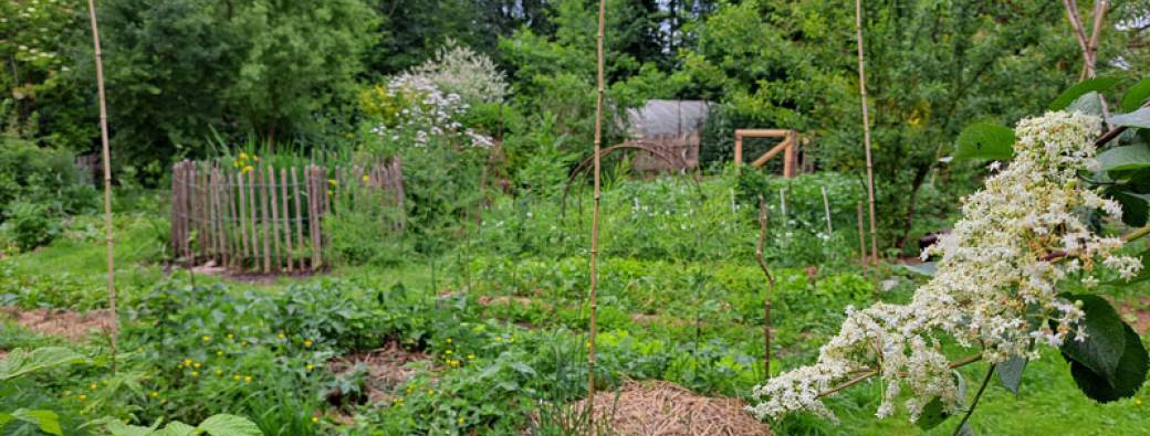 VISITE – Jardin-forêt – Les amis du Village