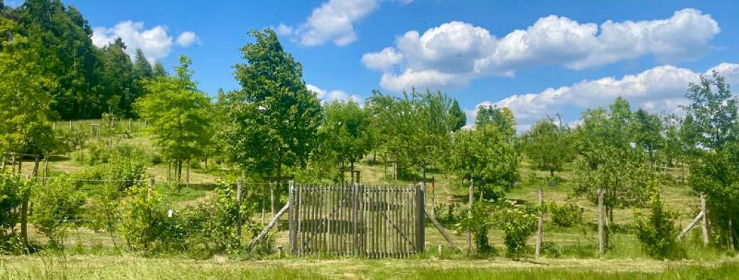 VISITE + CONCERT - Les Collines de Babelle