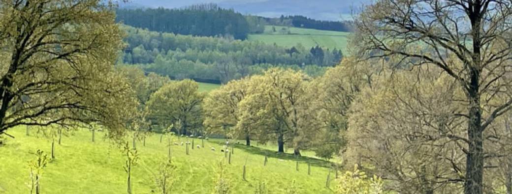 VISITE – Jardin-forêt – Nassogreen